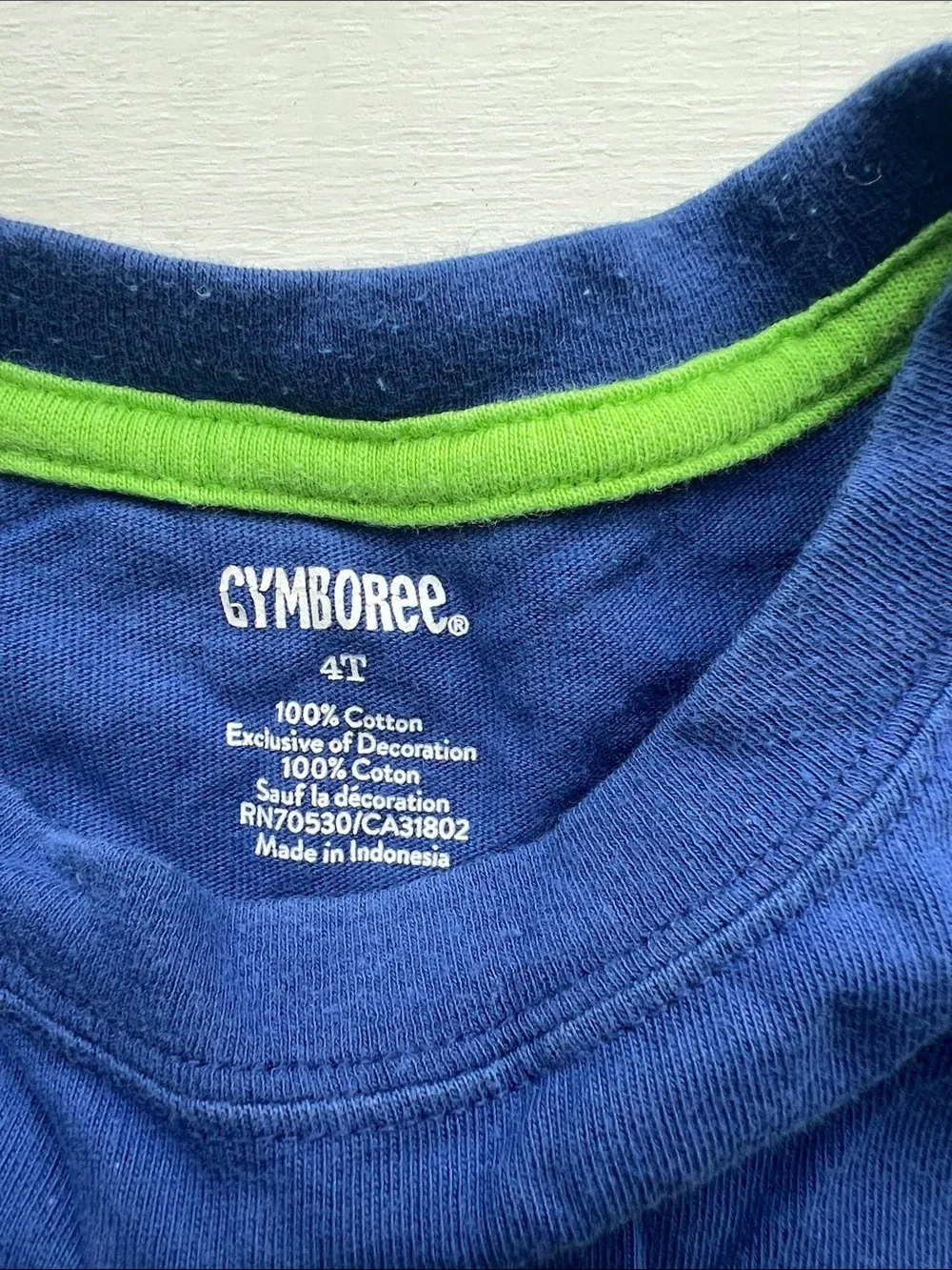 Gymboree Blue Tee with Lime Green Neck Trim
